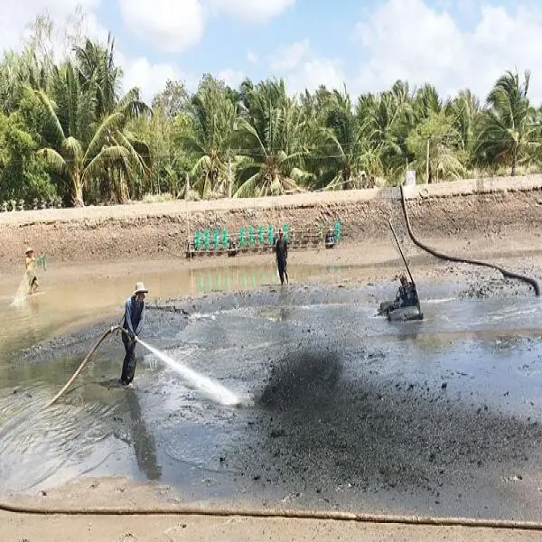 Cải Tạo Ao Đất Nuôi Tôm: Giải Pháp Lót Bạt Bờ Đáy Lưới Tối Ưu Hóa Sản Phẩm