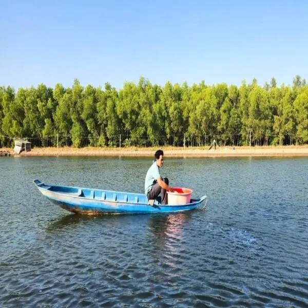 Nguyên Nhân Giá Thành Sản Xuất Tôm Việt Cao và Giải Pháp Cải Thiện