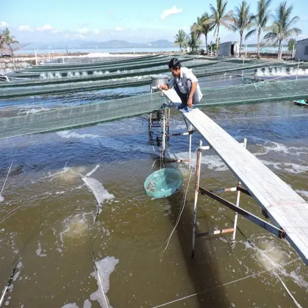 Vai Trò Của Nhân Tố Sinh Học Trong Nuôi Trồng Thủy Sản: Cơ Hội Và Thách Thức