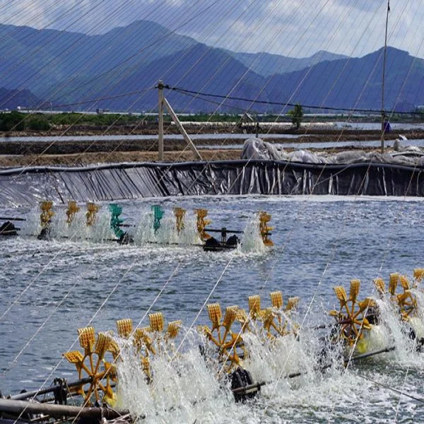 Công Nghệ Sinh Học: Pháp Bền Vững Cho Ngành Nuôi Tôm