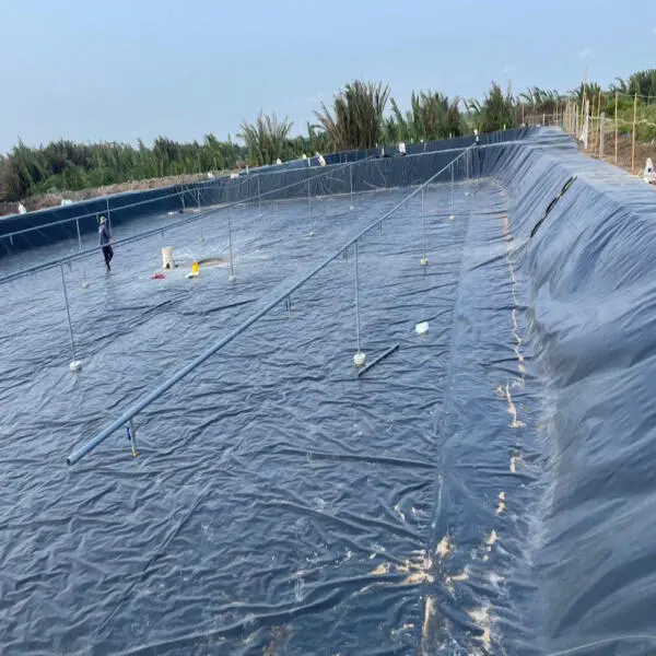 Phân biệt bạt PE và bạt HDPE trong nuôi tôm