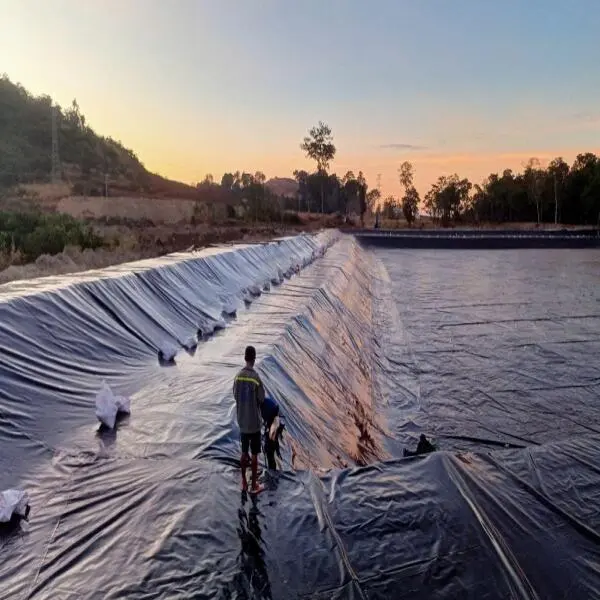 Lựa Chọn Bạt Lót Ao Tôm: Bạt PE và HDPE – Đặc Điểm và Ưu Nhược Điểm