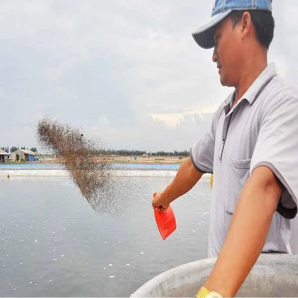 Dinh Dưỡng Chính Xác Trong Nuôi Tôm: Chìa Khóa Tối Ưu Hóa Sản Xuất Bền Vững