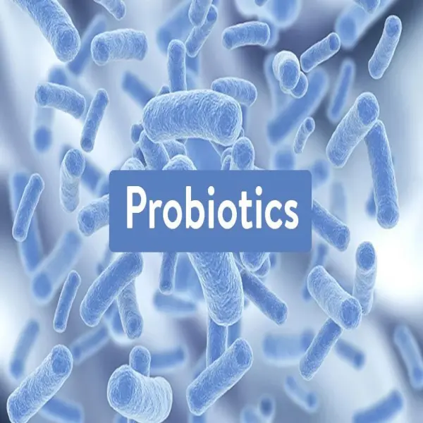 Kết Hợp Probiotic và Enzyme: Giải Pháp Hiệu Quả Trong Nuôi Tôm Cá