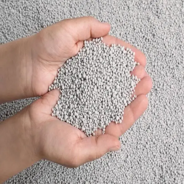 Bentonite: Chất Kết Dính Hỗ Trợ Sức Khỏe Và Tăng Năng Suất Trong Chăn Nuôi