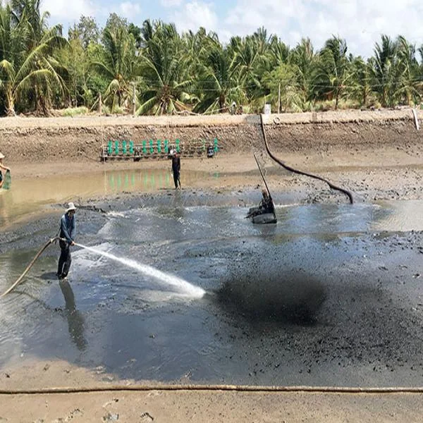 Quy Trình Xử Lý Đáy Ao Nuôi Tôm Sú: Tăng Cường Môi Trường Nuôi