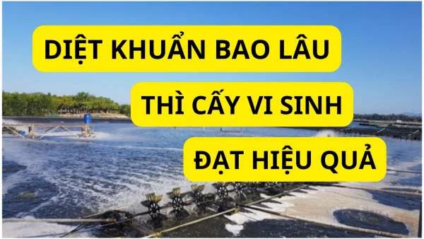 Diệt khuẩn bao lâu thì cấy vi sinh để đạt hiệu quả cao