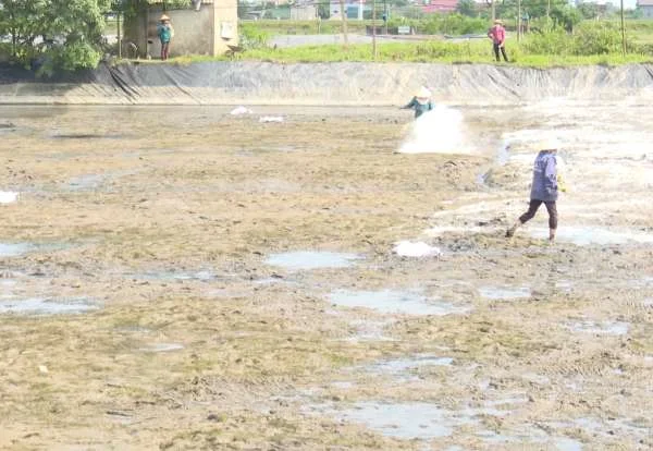 Hà Tĩnh chuyển mình: Đầu tư thâm canh nuôi tôm, mục tiêu nâng cao hiệu suất