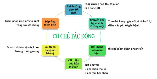 Bước Đột Phá Trong Nuôi Trồng Thủy Sản: Ứng Dụng Hiệu Quả Chế Phẩm Sinh Học