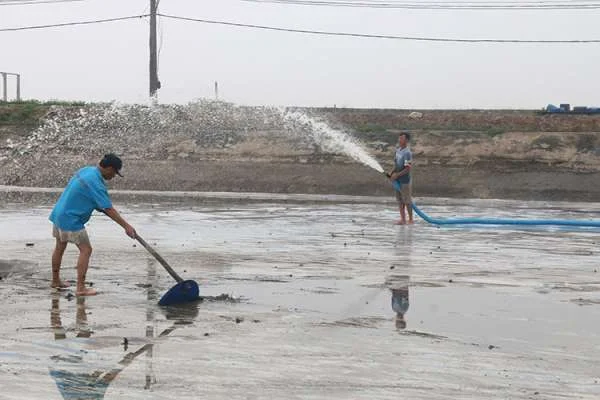 Nguồn gốc chất thải hữu cơ và Tác hại trong ao nuôi tôm