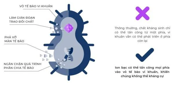 Sức Mạnh của Công Nghệ Nano: Bí Mật Đằng Sau Hiệu Quả Diệt Khuẩn của Nano Bạc