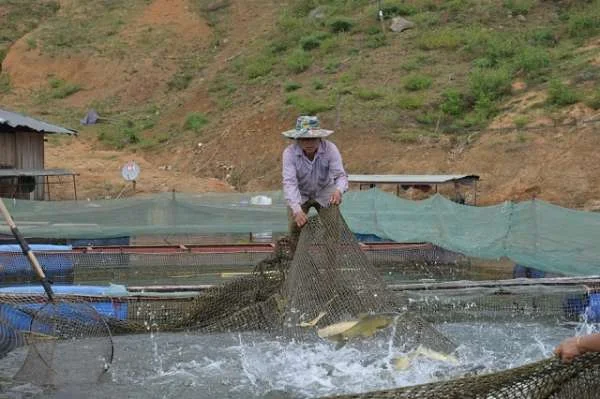 Nâng Cao Thu Nhập Nhờ Mô Hình Nuôi Thủy Sản Đa Dạng của Ông Nguyễn Văn Khánh ở Sóc Trăng