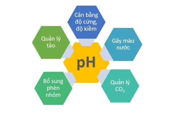 Phản Ứng Tránh Đột Ngột trong Ao Nuôi Tôm: Sự Quan Trọng và Nguyên Nhân