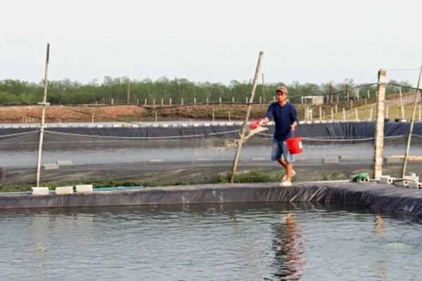 Khám phá bí mật của thành công: Bí quyết của những người thành đạt