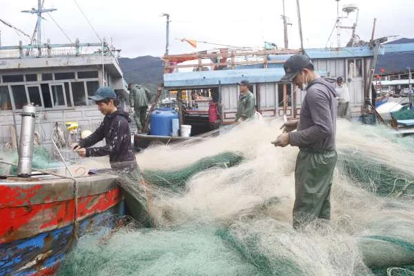 Bình Định: Tích cực chống IUU trong ngành công nghiệp thủy sản