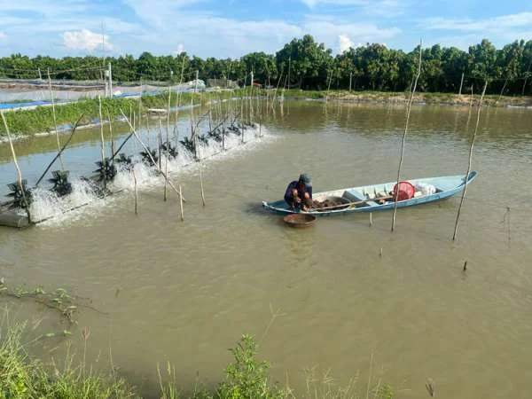 Đồng Tháp: Chiến Lược Chủ Động Phòng Dịch Mùa Hạn Hán