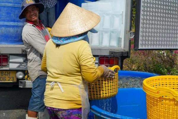 Chiến Lược Tiết Giảm Chi Phí Nuôi Tôm: Chìa Khóa Tăng Hiệu Quả và Lợi Nhuận