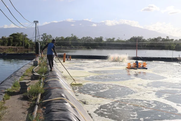 Vai Trò Quan Trọng của Oxy Hòa Tan trong Nuôi Tôm: Giải Pháp và Ứng Dụng