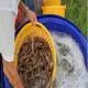 Giảm Ô Nhiễm, Tăng Hiệu Quả: Giải Pháp Mới Cho Ngành Nuôi Tôm